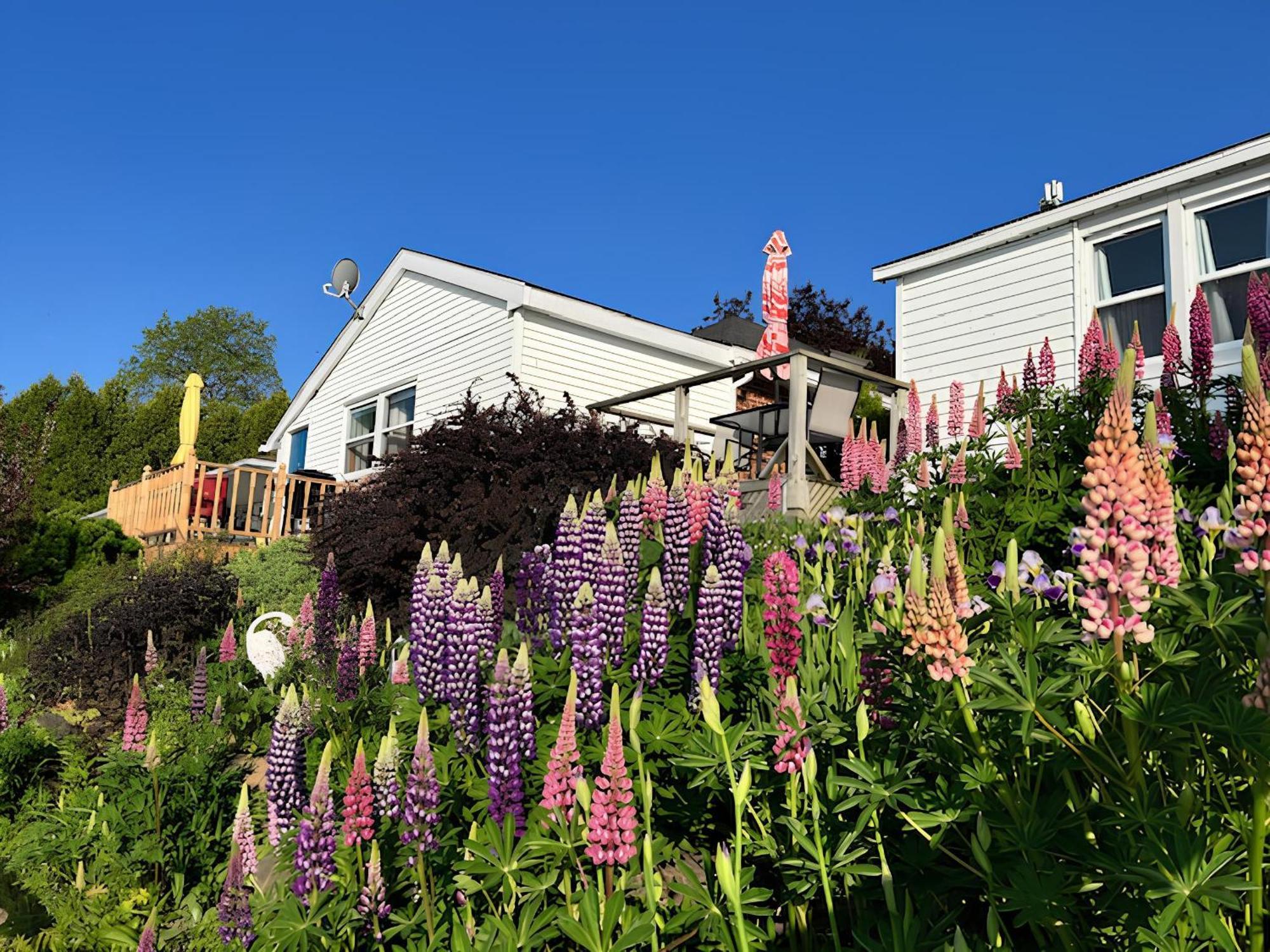 Dewar'S Inn And Cottages Prescott Exterior photo